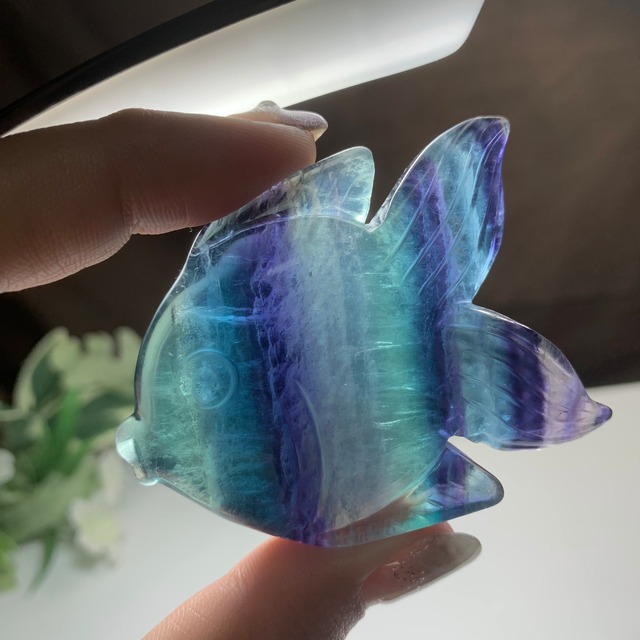 10.海のアニマル♪♪フローライトお魚さん☆