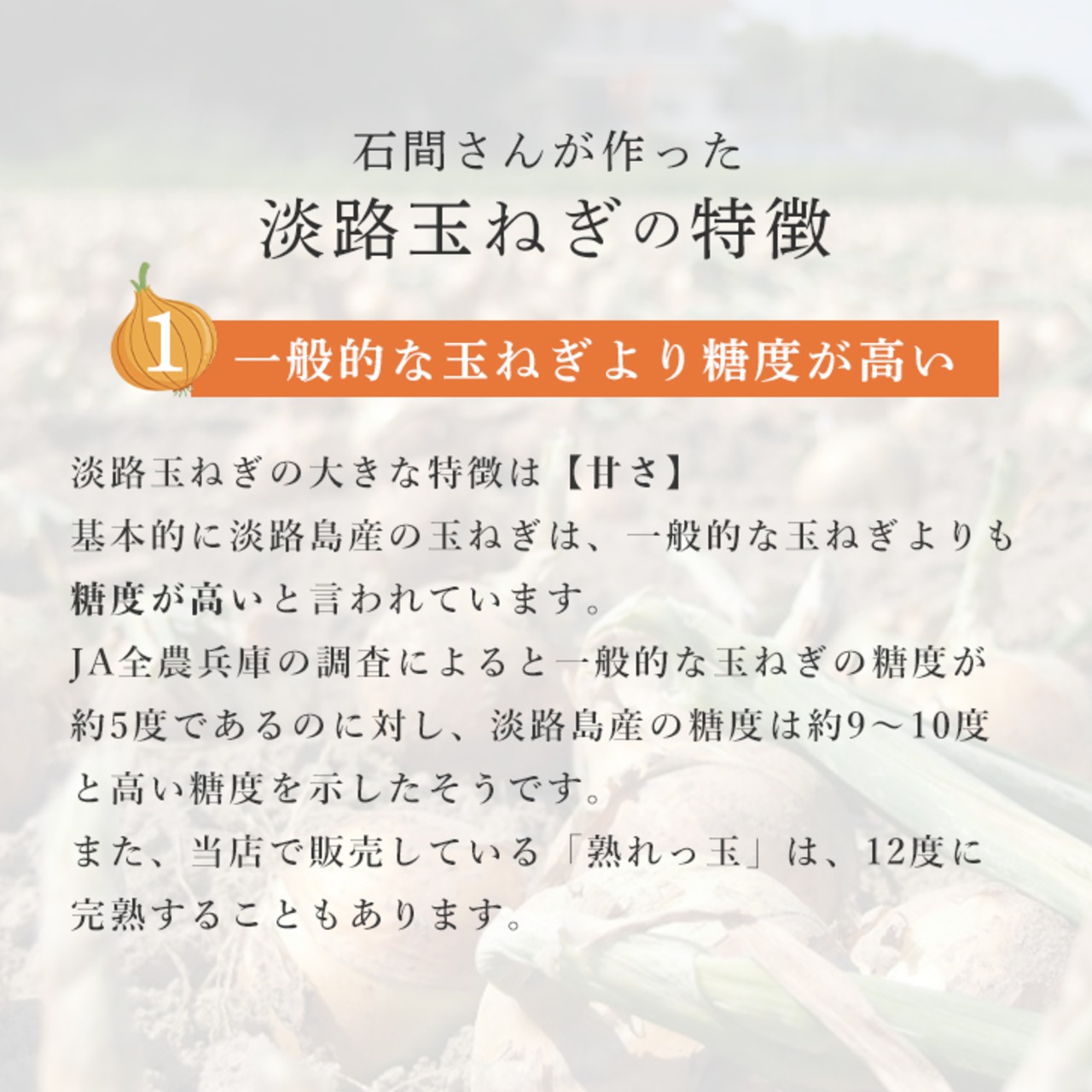 【淡路島産】 熟成サラダ玉ねぎ　熟れっ玉 2Kg