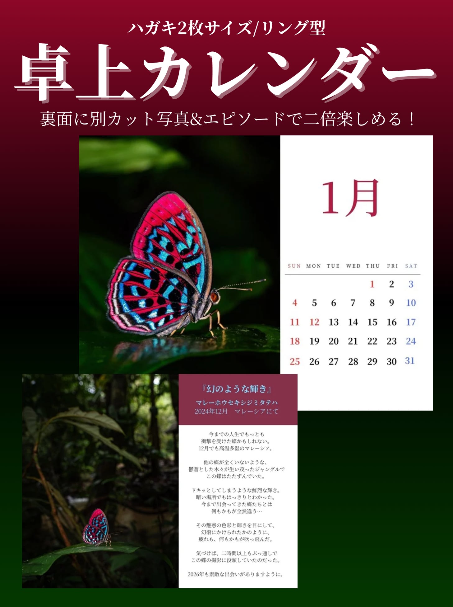 BEST 2024『蝶写真集』【A4:50ページ】 | Pay ID