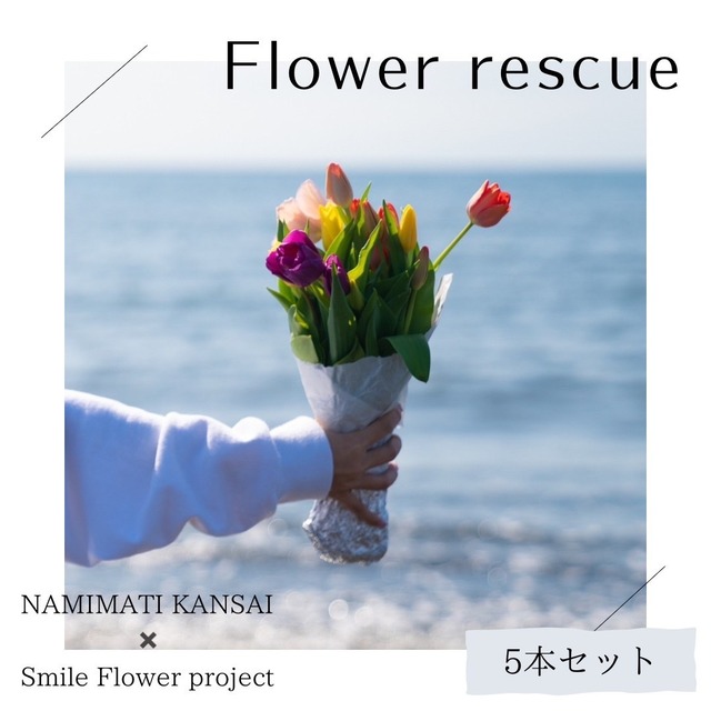 NAMIMATI×スマフラ☆Flower rescue☆個性いっぱい！！規格外のSPカーネーション【送料込み】★フラワーロス支援