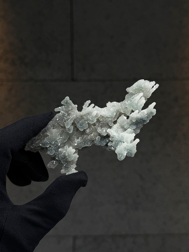 ブルーカルセドニーコーラル【ML-0176】インド