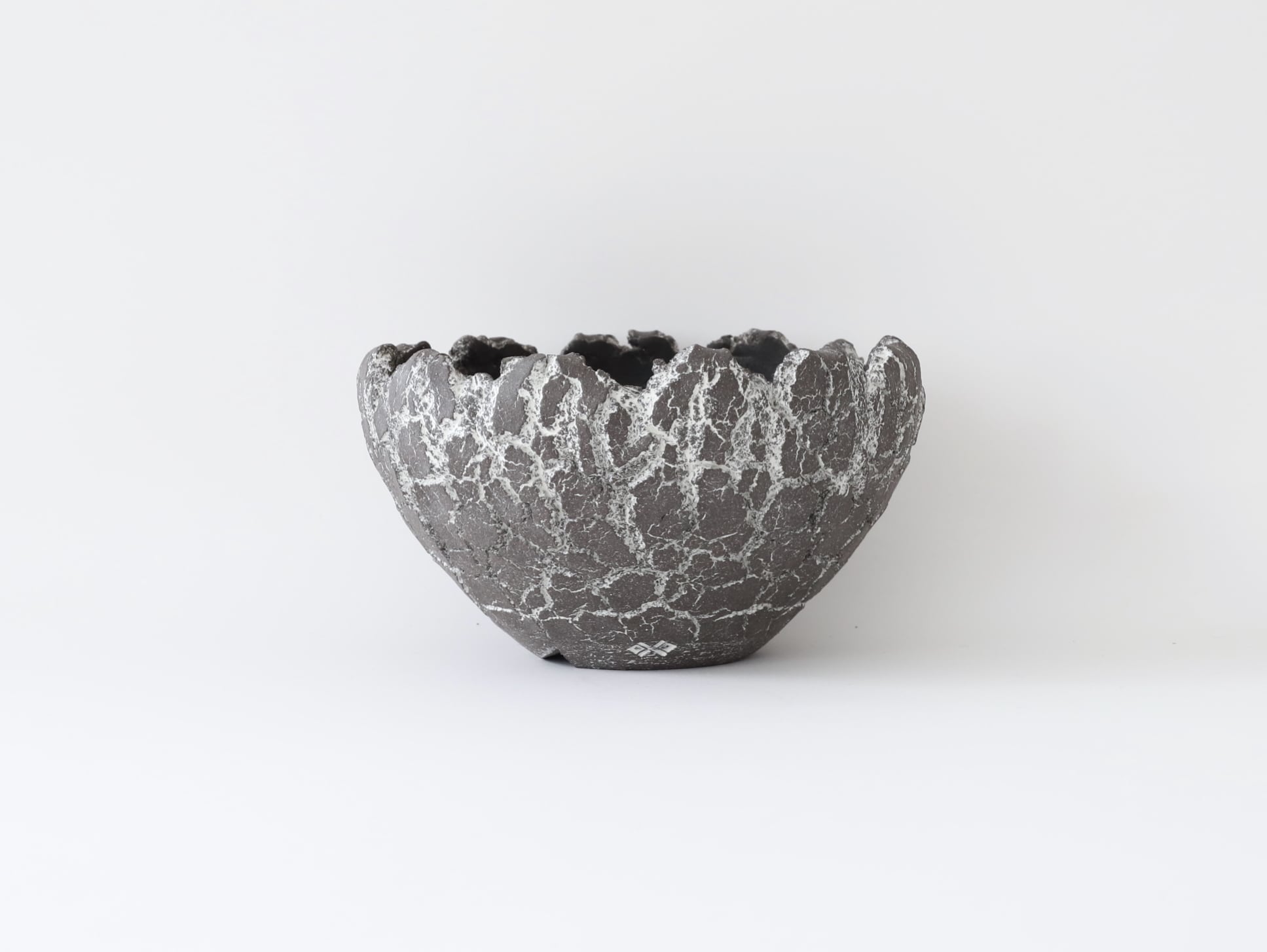 セキグチ タカヒト | Galerie NUAGE