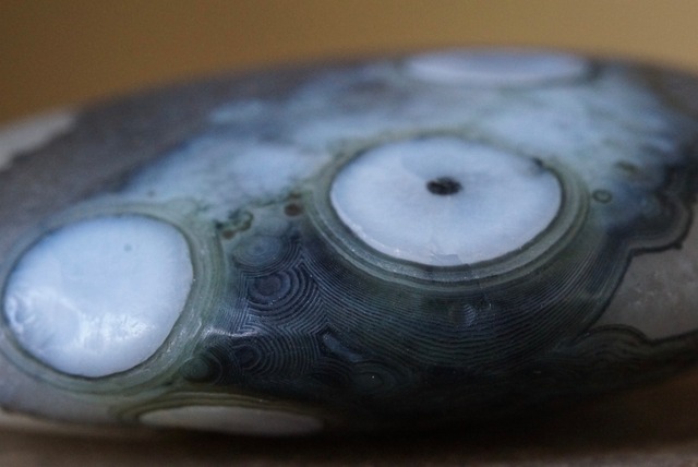 ゴビアゲート Gobi Desert Eye Agate 524