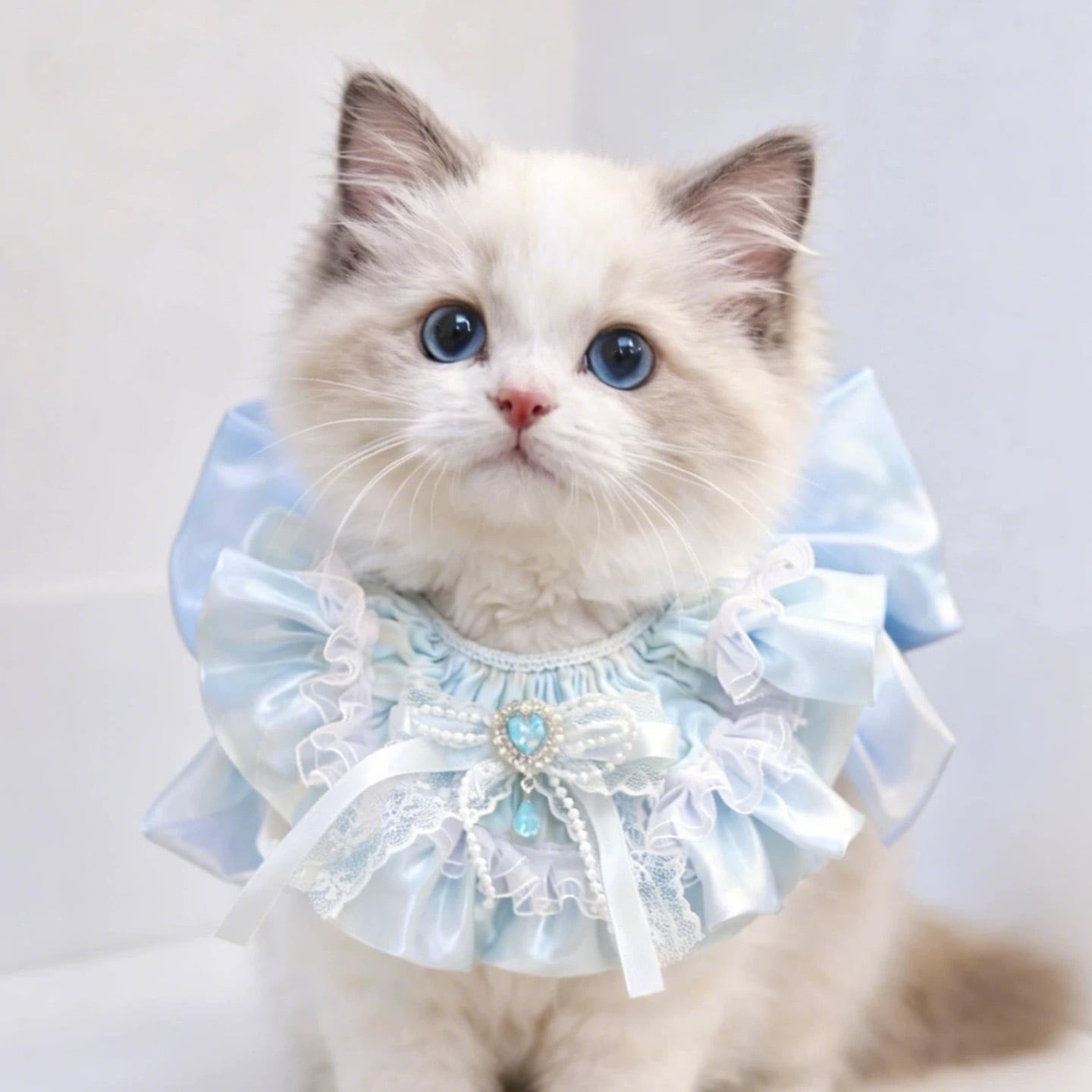 Roseチェックエプロン 猫 スタイ | nyanpets 猫グッズ専門店