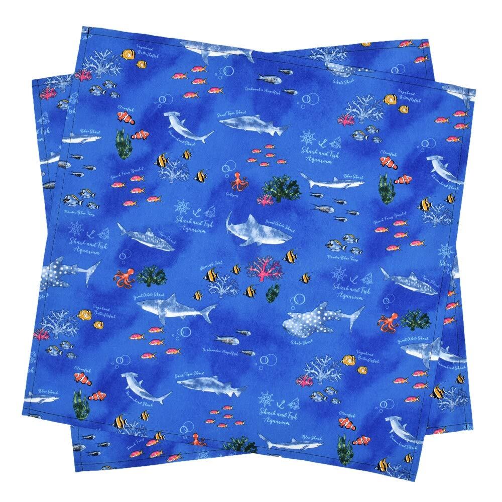 【人気】COLORFUL CANDY STYLE ランチクロス・給食ナフキン(45cm×45cm) 撥水ノーアイロン 2枚セット ブルーラグーン はっ水 軽量 汚れにくい シワ防止 ノーアイロン 男の子 NL302500