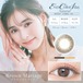 エバーカラー ワンデー ナチュラル モイストレーベルUV(Ever Color 1day Natural MOIST LABEL UV)《Brown Mariage》ブラウンマリアージュ[20枚入り]