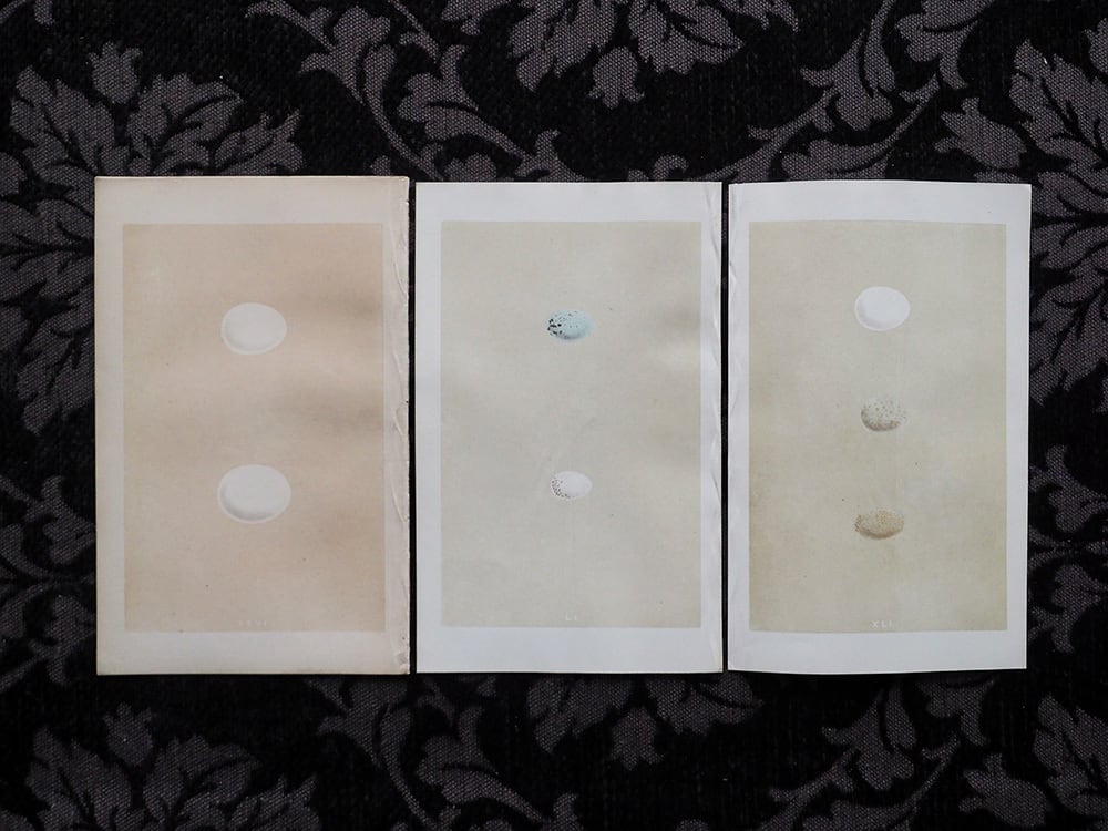 Arts&science アンティーク　鉄コンテナ　蚤の市 Arts&science アンティーク 鉄コンテナ 蚤の市