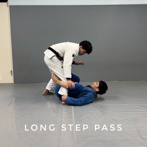 デラヒーバガードへのロングステップパス