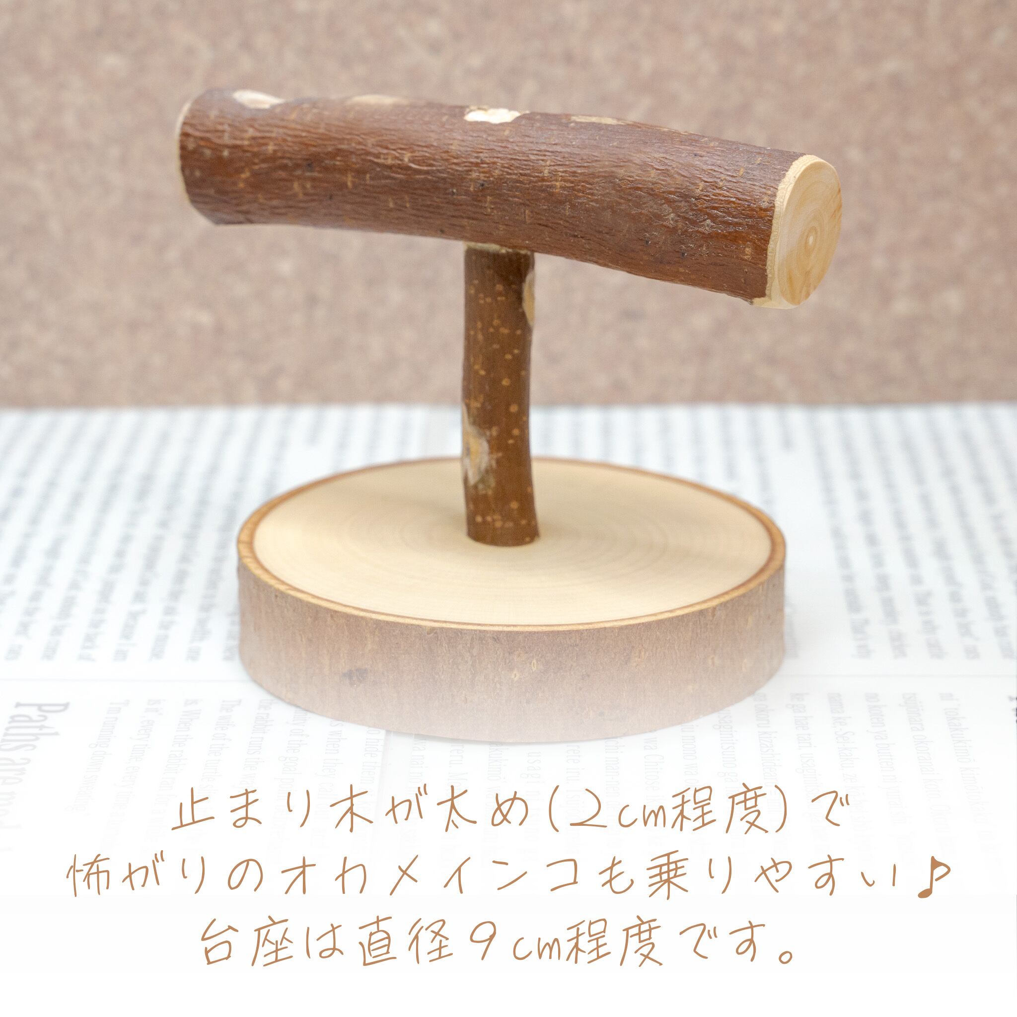 インコちゃんの✩.*˚つまみ食い♪スタンドパーチ 小型〜中型さん向け