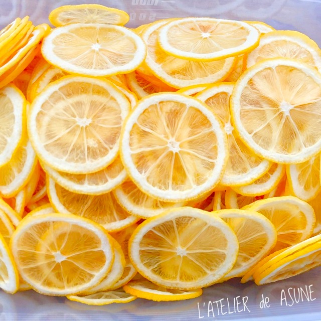 6枚入 レモン ソフトドライ 柔らか加工 スライス ドライフルーツ ハーバリウム ハンドメイド専用素材 アトリエ明日音 アトリエ明日音 名古屋花材問屋 プリザーブドフラワー ドライフラワー ハーバリウム花材 資材