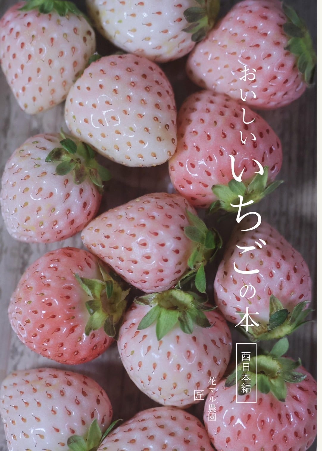 おいしいいちごの本 西日本編 | 花マル農園通販サイト
