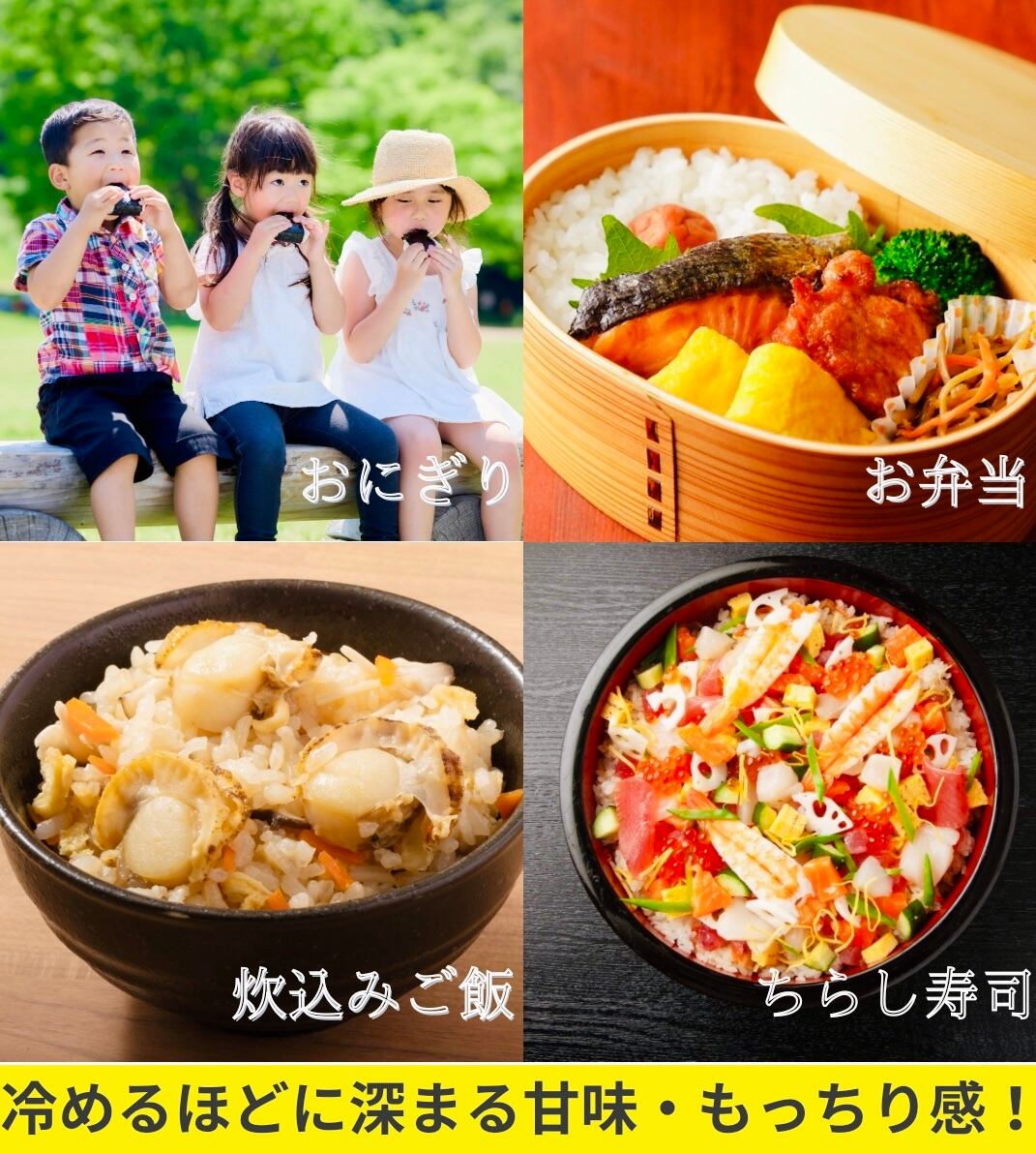 新米 きぬひかり 玄米30kg 7400円 新米 きぬひかり 玄米30kg 7400円 【公式通販】