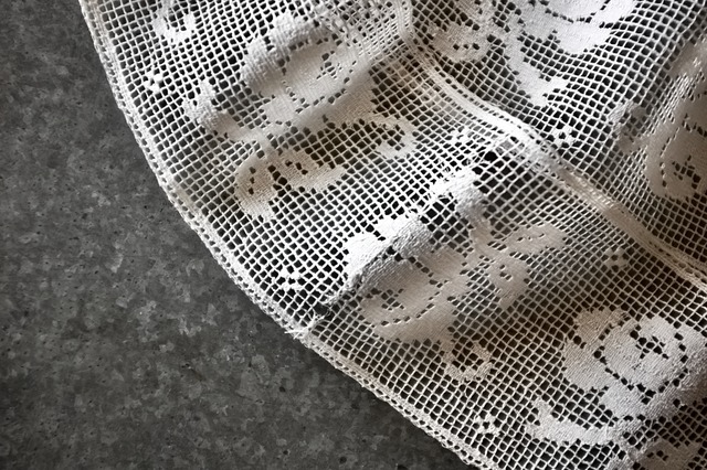 フランス 1900s 古薔薇たちのフィレレース  100x9c アンティーク r48mn