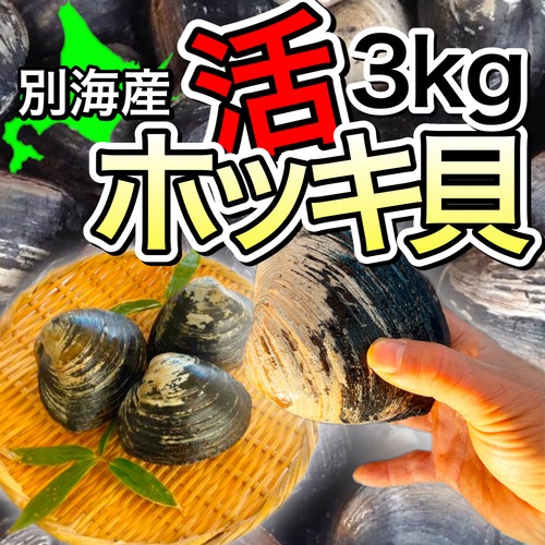 【今が旬‼︎】北海道別海産の活ホッキ　3kg詰め（９～１２個入り）