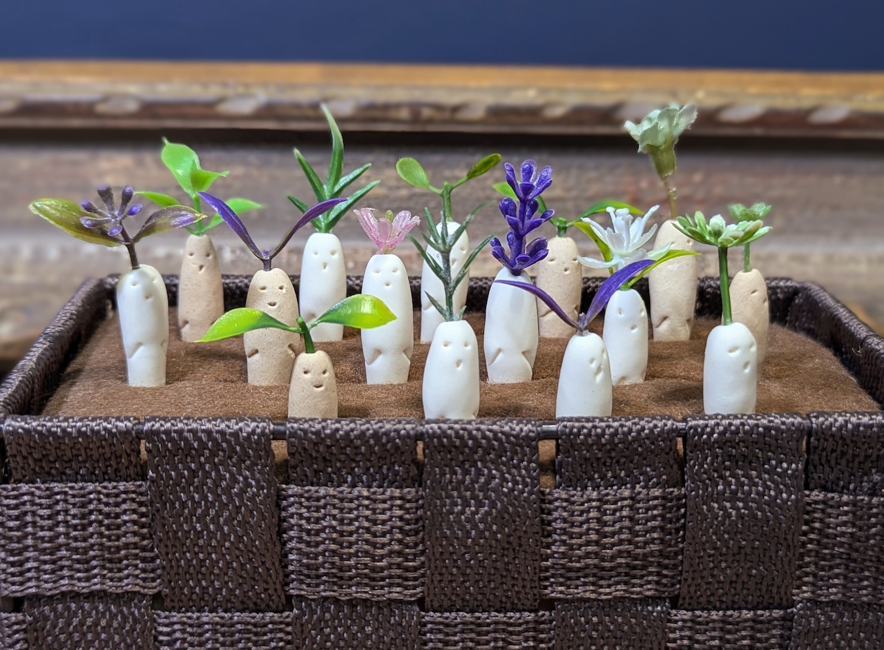 みんなの大根 ✦ シングル収穫