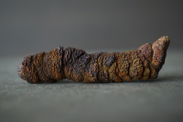 リモナイト Goethite var. Limonite 1553