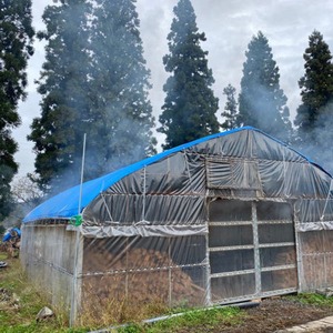 秋田県比内 手づくりいぶりがっこ(胆振ガッコ） 一本物：1.5kg