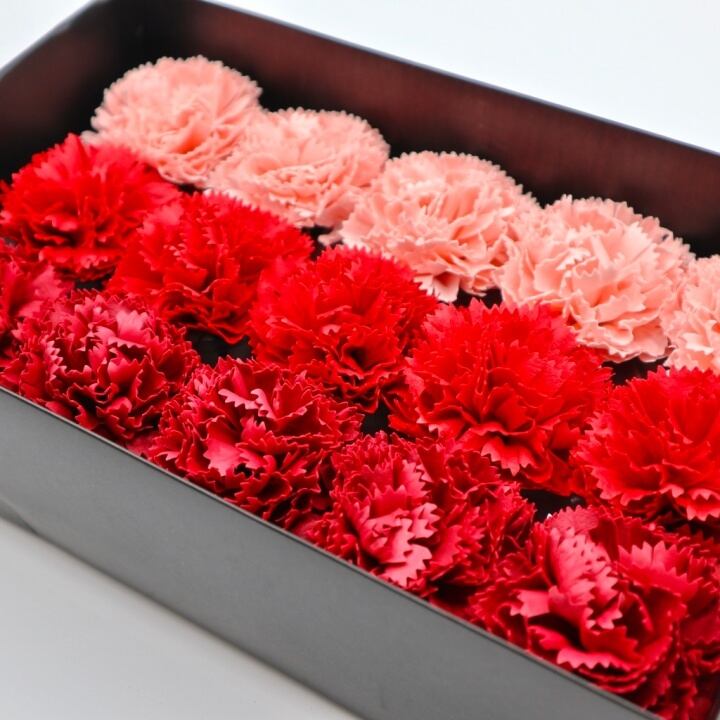 カーネーションC-MIX2赤,ピンク(15輪入り)