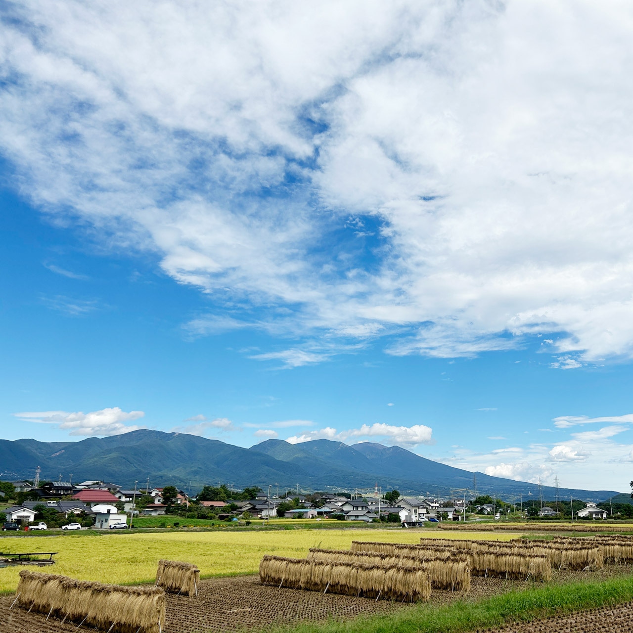 信州八重原お米のめん4食セット｜玄米めん｜長野県産コシヒカリ100％・グルテンフリー・保存料不使用