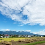 信州八重原お米のめん4食セット｜玄米めん｜長野県産コシヒカリ100％・グルテンフリー・保存料不使用