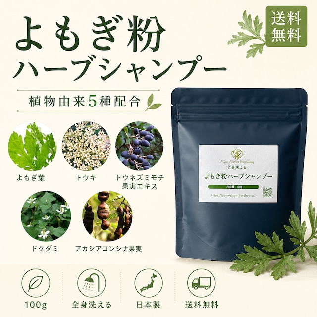 ミネラル豊富なヒマラヤ食用ブラック岩塩　超微粒子タイプ　（ 送料無料 ）