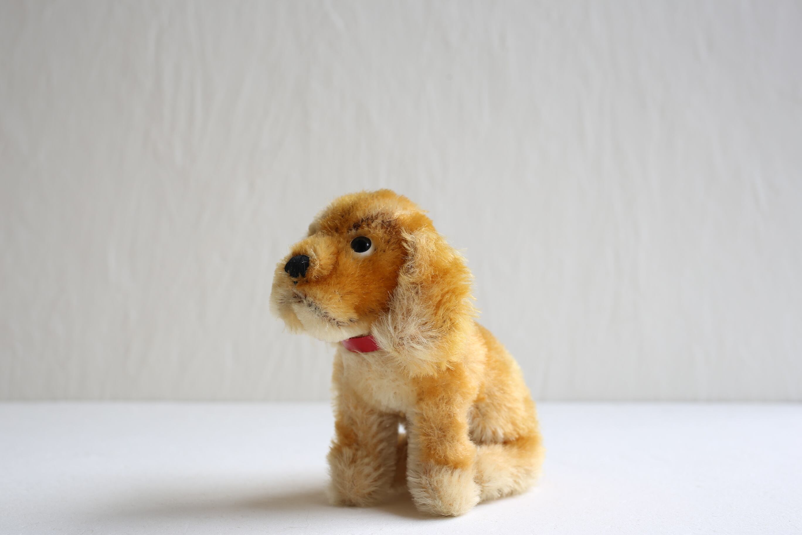 ヴィンテージSteiff コッカースパニエル 「Revue Susi 」 ドイツ ヴィンテージ Steiff シュタイフ コッカースパニエル