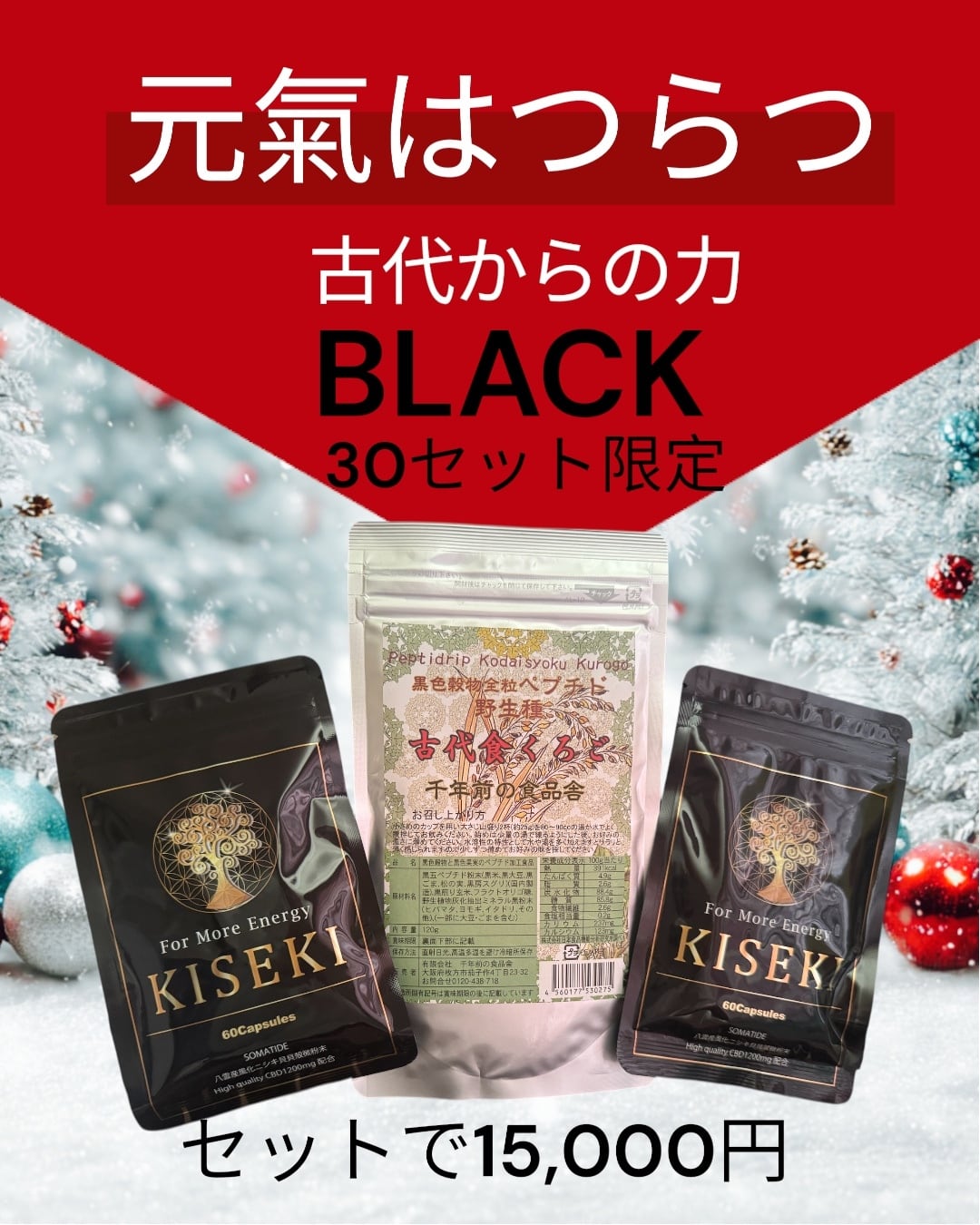 HYPER BRAIN【GST】MOZART GOD SOUND TUNE | 369 Miroku Mind online shop