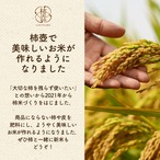 【2025年産】【11月下旬発送】富有柿 3L 8玉（2.5ｋｇ）