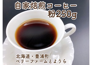 自家焙煎スペシャルティコーヒー（粉250グラム）【ベリーファームとようら】