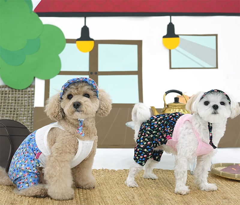 choncance all in one set S ~ XL 2color / ドッグウェア 犬の服 オールインワン サンバイザー 帽子 レトロ 犬服 ボトム 春夏 新作 tsu43