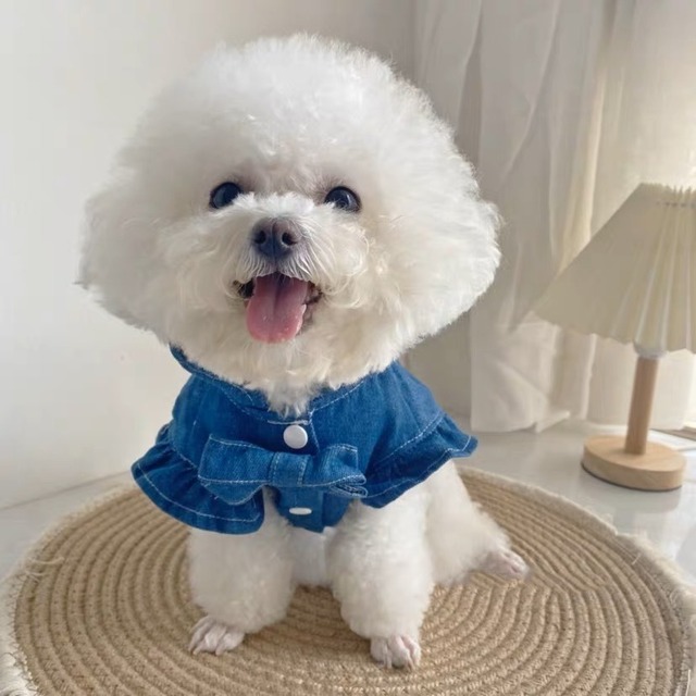 【予約】デニムフリルリボンハーネス