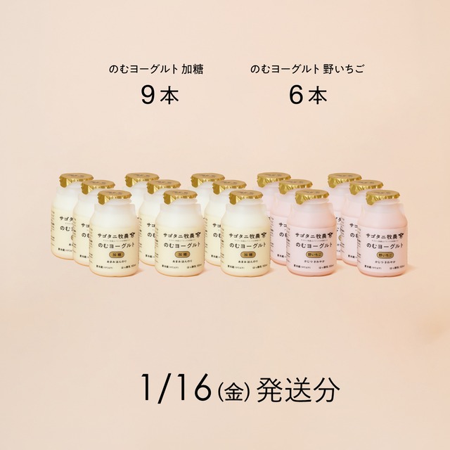 のむヨーグルト15本セット （加糖9本・野いちご6本）1月16日（金）発送分