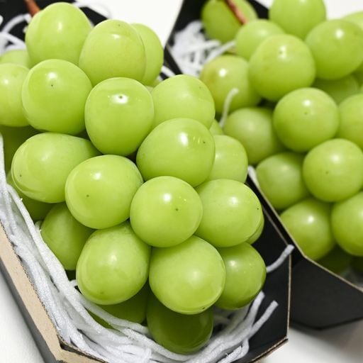 FARMセレクト 2箱セット｜朝採り新鮮！ 産地直送 山梨県産 シャイン