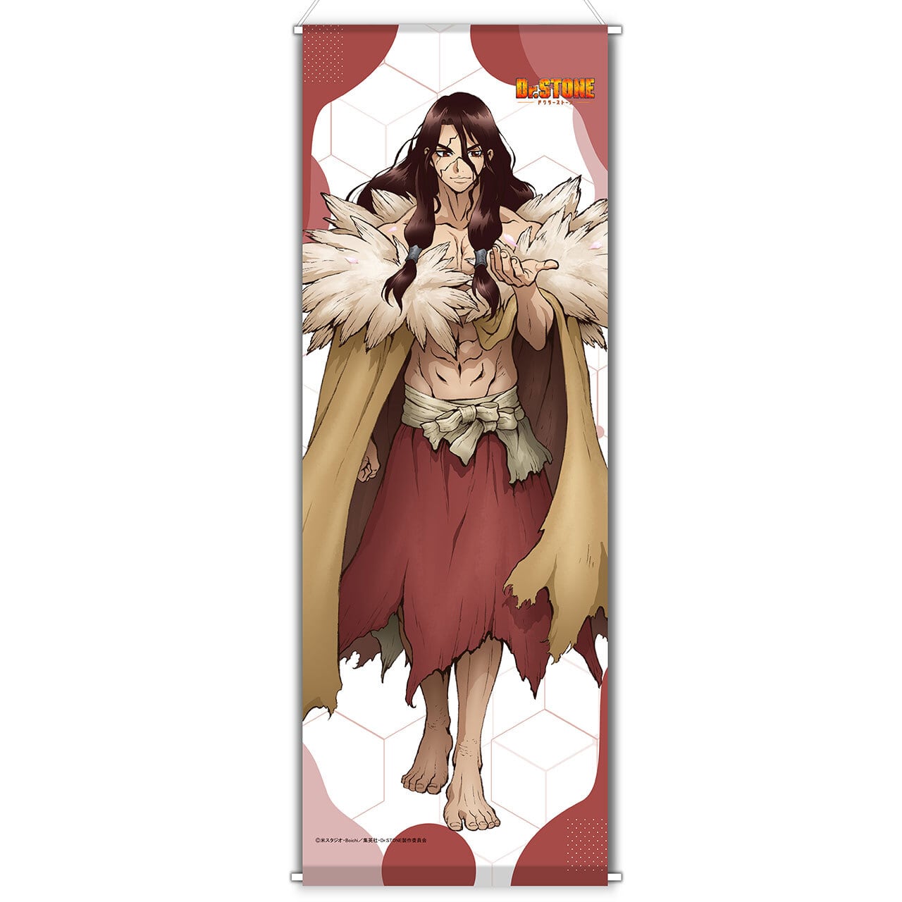 4570077741572受注生産】Dr.STONE 【描き下ろし】ミニ