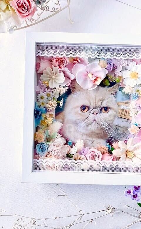【セミオーダー】《ほっこり花ギフトGF6 》21×21×W5㎝/写真・名入れ/記念日/誕生日/お見舞い/メッセージ
