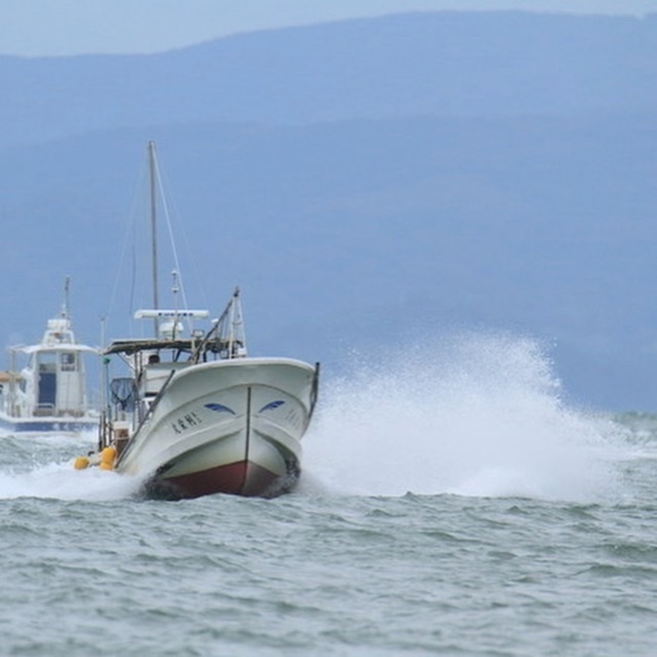 【定期便】 DeliciousWan 800g 3個セット