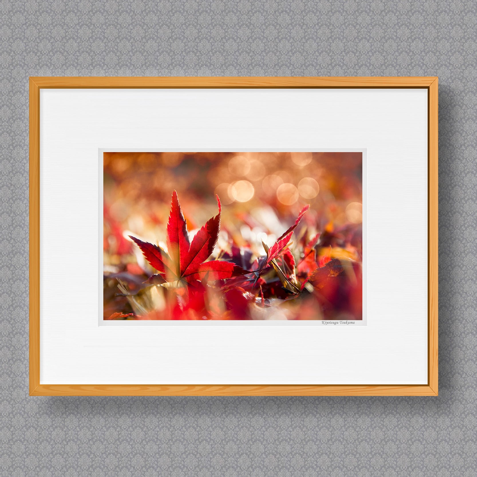 暮秋 □額縁サイズ（太子）378㎜×288㎜ | 写真家 津熊清嗣 癒しの世界