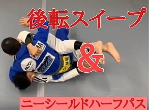 柔術　バタフライガード再発見　 DVD 2本セット レビュー】アダム・ワドジンスキ バタフライガード再発見