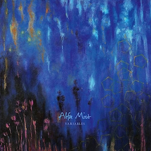 〈残り1点〉【CD】Alfa Mist - Variables