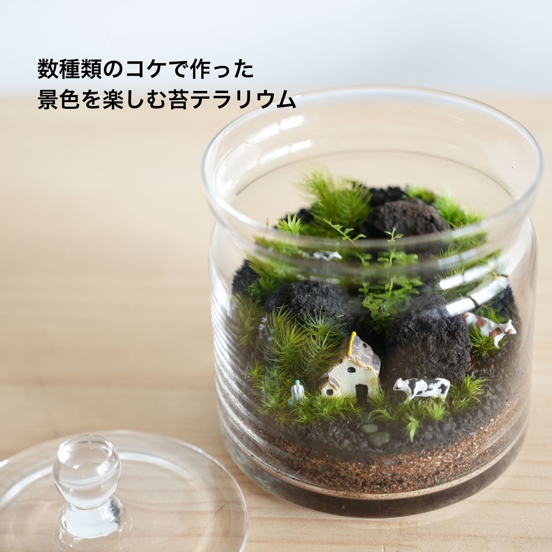 2026母の日限定】苔の森の贈りもの◇キャニスター◇フィギュア入り #B