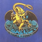 POWELL PERALTA CABALLERO Tee / Hanes BEEFY