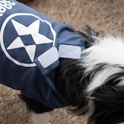 38DOGT 2026 / Navy