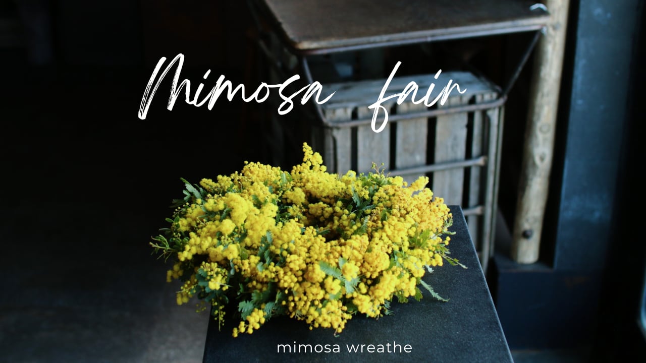 Mimosa Wreathe|ミモザのリース