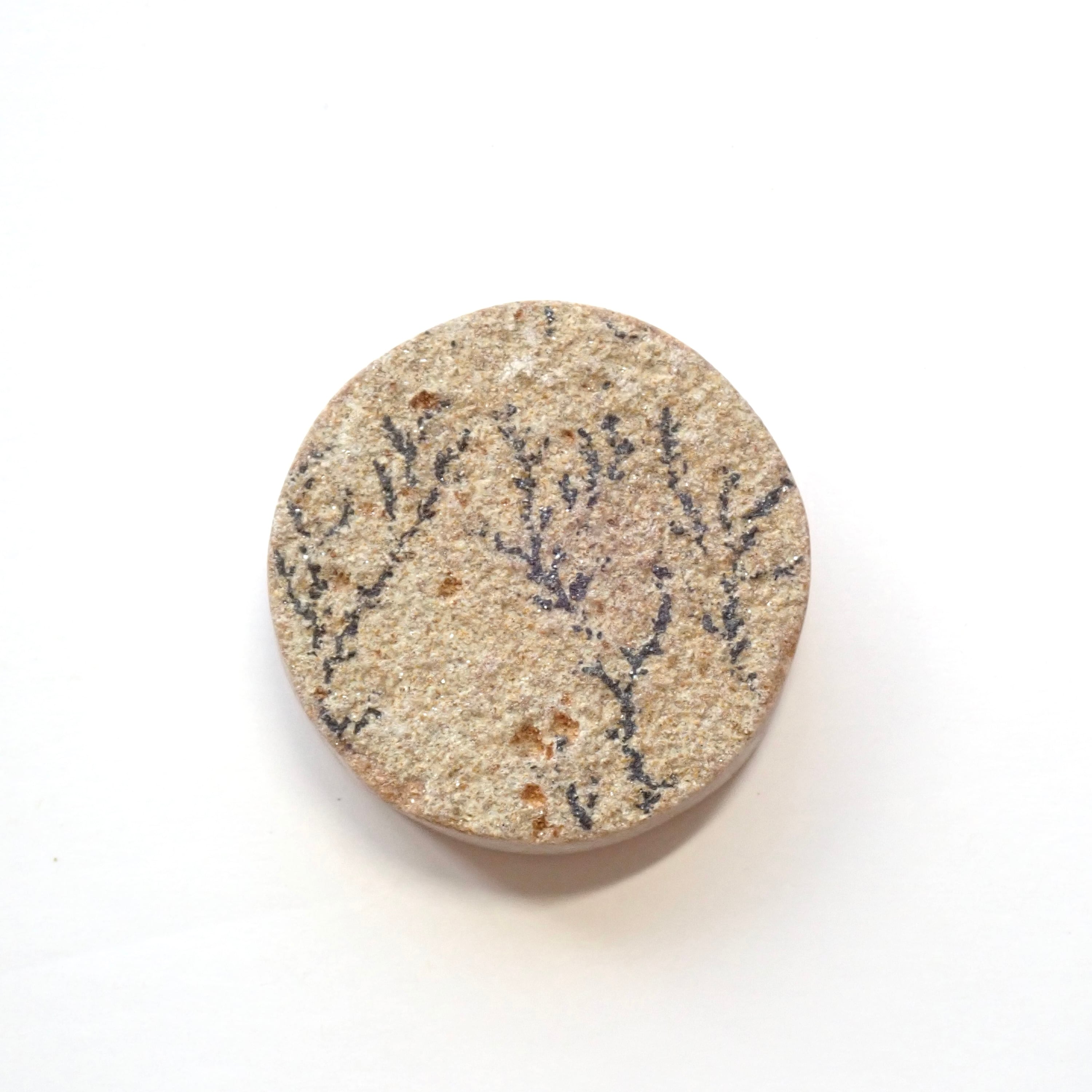 ジャーマン・デンドライト　07