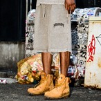 METAL SMALL LOGO HEAVYWEIGHT PIGUMENT SHORTS