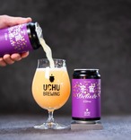 うちゅうブリューイング　【宇宙Deluxe Citra】 350ml
