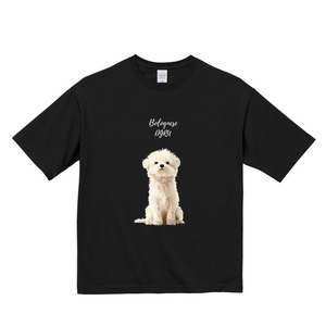 ボロニーズ　ビックシルエットTシャツ