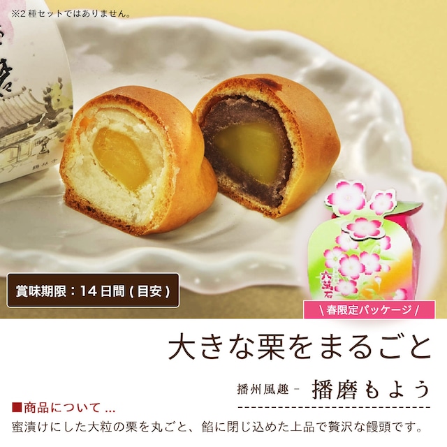 「春の食べ比べセット」6種 詰め合わせ #春限定#ギフト#和菓子#お取り寄せ#土産#プレゼント#進物