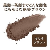 セザンヌ ヘアメイクパウダー なじみブラウン 4.0g 髪色なりすましパウダー