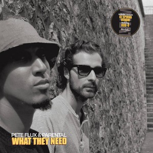 [LP] Pete Flux & Parental - What They Need